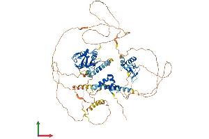Protein Structure (PS) image for Interferon Regulatory Factor 2 Binding Protein-Like (IRF2BPL) (AA 1-796) protein (His tag) (ABIN7548382)