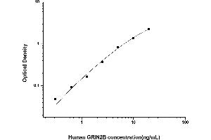 GRIN2B ELISA Kit