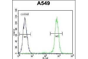 ANC5 Antibody (Center) 10974c flow cytometric analysis of A549 cells (right histogram) compared to a negative control cell (left histogram). (ANAPC5 antibody  (AA 156-185))