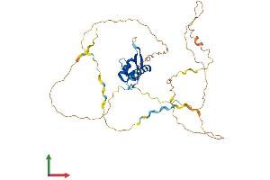 AlphaFold protein structure predicition of Mouse Recombinant Foxl2 Protein, UniprotID O88470 (FOXL2 Protein (AA 1-375) (His tag))