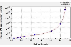 NMI ELISA Kit