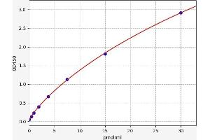 Lysyl Oxidase-Like 3 (LOXL3) ELISA Kit