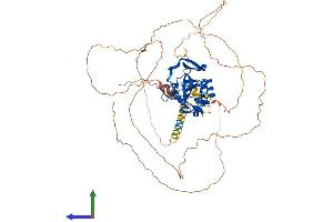 Protein Structure (PS) image for T-Box 18 (TBX18) (AA 1-607) protein (His tag) (ABIN7544197)