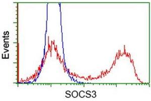 Image no. 2 for anti-Suppressor of Cytokine Signaling 3 (SOCS3) antibody (ABIN1501053) (SOCS3 antibody)