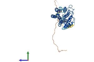 Protein Structure (PS) image for Adiponectin Receptor 1 (ADIPOR1) (AA 1-375) protein (His tag) (ABIN7559988)
