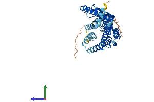 AlphaFold protein structure predicition of Human Recombinant OR8G5 Protein, UniprotID Q8NG78 (OR8G5 Protein (AA 1-346) (His tag))