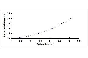 Typical standard curve (PRR4 ELISA Kit)