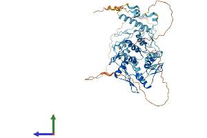 AlphaFold protein structure predicition of Human Recombinant ZNF250 Protein, UniprotID P15622 (ZNF250 Protein (AA 1-560) (His tag))