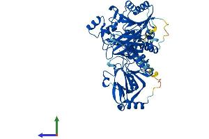 AlphaFold protein structure predicition of Human Recombinant POMGNT2 Protein, UniprotID Q8NAT1