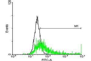 FACS analysis of negative control 293 cells (Black) and HLA-DRB3 expressing 293 cells (Green) using HLA-DRB3 purified MaxPab mouse polyclonal antibody. (HLA-DRB3 antibody  (AA 1-266))