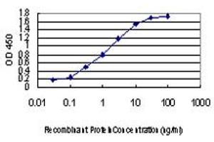 Detection limit for recombinant GST tagged PRPF3 is approximately 0. (PRPF3 antibody  (AA 585-683))