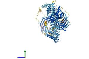 AlphaFold protein structure predicition of Human Recombinant ELP1 Protein, UniprotID O95163 (IKAP/p150 Protein (AA 1-1332) (His tag))