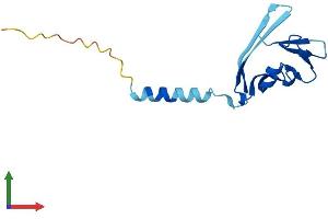 AlphaFold protein structure predicition of Human Recombinant TAFA5 Protein, UniprotID Q7Z5A7