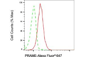 anti-Preferentially Expressed Antigen in Melanoma (PRAME) antibody