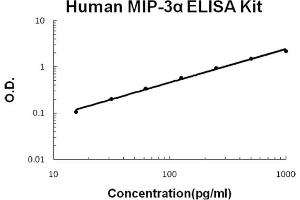 Human MIP-3 alpha/CCL20 Accusignal ELISA Kit Human MIP-3 alpha/CCL20 AccuSignal ELISA Kit standard curve. (CCL20 ELISA Kit)