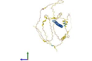 AlphaFold protein structure predicition of Mouse Recombinant Creb5 Protein, UniprotID Q8K1L0