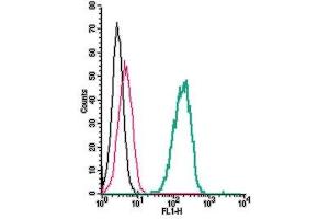 Cell surface detection of PAFR by indirect flow cytometry in live intact human  monocytic leukemia cell line: + goat-anti-rabbit-FITC.