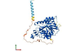 AlphaFold protein structure predicition of Mouse Recombinant B3gnt7 Protein, UniprotID Q8K0J2 (B3GNT7 Protein (AA 1-397) (His tag))