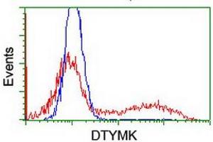 HEK293T cells transfected with either RC201228 overexpress plasmid (Red) or empty vector control plasmid (Blue) were immunostained by anti-DTYMK antibody (ABIN2454999), and then analyzed by flow cytometry. (DTYMK antibody)