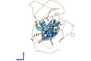 AlphaFold protein structure predicition of Mouse Recombinant Slc4a2 Protein, UniprotID P13808