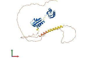 Protein Structure (PS) image for RNA Binding Motif Protein 4 (RBM4) (AA 1-364) protein (His tag) (ABIN7555159)