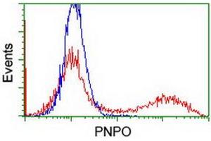 HEK293T cells transfected with either RC200133 overexpress plasmid (Red) or empty vector control plasmid (Blue) were immunostained by anti-PNPO antibody (ABIN2454781), and then analyzed by flow cytometry. (PNPO antibody)