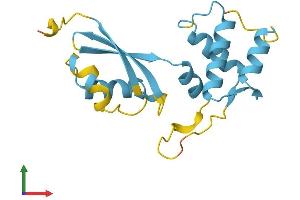 AlphaFold protein structure predicition of Mouse Recombinant Rpl12 Protein, UniprotID P35979
