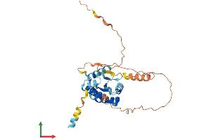 AlphaFold protein structure predicition of Human Recombinant C2orf72 Protein, UniprotID A6NCS6 (C2ORF72 Protein (AA 1-295) (His tag))