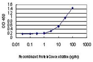 Detection limit for recombinant GST tagged CREB1 is approximately 1ng/ml as a capture antibody. (CREB1 antibody  (AA 1-95))