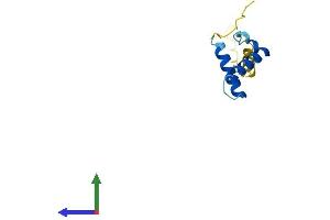 AlphaFold protein structure predicition of Human Recombinant ERVK-19 Protein, UniprotID P61572 (ERVK-19 Protein (AA 1-105) (His tag))