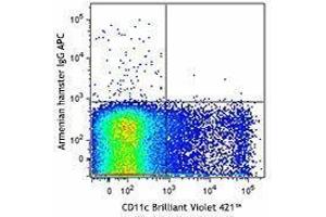 Flow Cytometry (FACS) image for anti-Jagged 1 (JAG1) antibody (APC) (ABIN2658199) (JAG1 antibody  (APC))