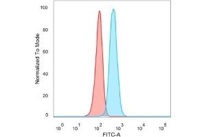 Flow cytometric analysis of PFA-fixed HeLa cells. (TDRKH antibody)
