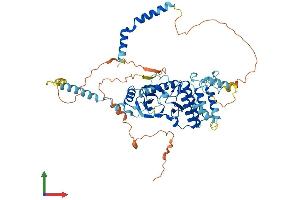 AlphaFold protein structure predicition of Mouse Recombinant Riok1 Protein, UniprotID Q922Q2 (RIOK1 Protein (AA 1-567) (His tag))