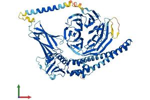 Protein Structure (PS) image for Bardet-Biedl Syndrome 2 (BBS2) (AA 1-721) protein (His tag) (ABIN7552695)