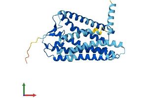 AlphaFold protein structure predicition of Human Recombinant OR5I1 Protein, UniprotID Q13606 (OR5I1 Protein (AA 1-314) (His tag))