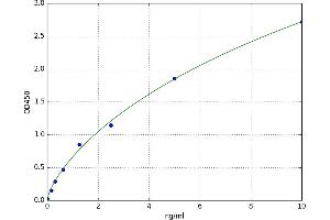 A typical standard curve