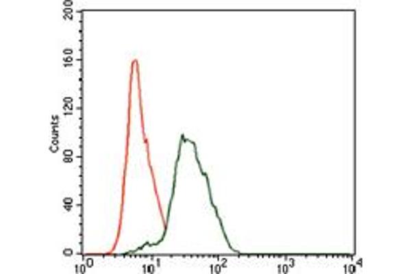 TWF1 antibody