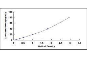 ELISA image for Paraoxonase 1 (PON1) ELISA Kit (ABIN424335)
