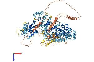 AlphaFold protein structure predicition of Human Recombinant SLF1 Protein, UniprotID Q9BQI6 (ANKRD32 Protein (AA 1-1058) (His tag))