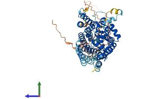 AlphaFold protein structure predicition of Human Recombinant SLC5A6 Protein, UniprotID Q9Y289 (SLC5A6 Protein (AA 1-635) (His tag))