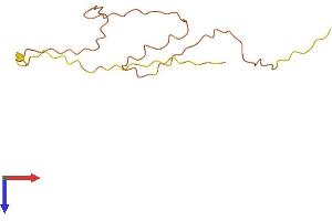 TP53AIP1 Protein (AA 1-124) (His tag)