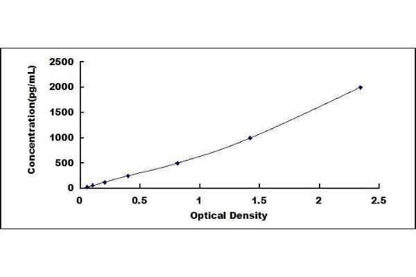 Surfactant Protein A1 ELISA Kit