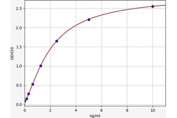 DRAM ELISA Kit