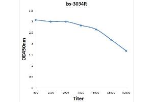 ELISA image for anti-Sodium Potassium ATPase, alpha1 (ATP1A1) (pTyr10) antibody (ABIN683173)