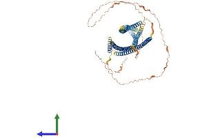 AlphaFold protein structure predicition of Human Recombinant GOLGA8N Protein, UniprotID F8WBI6 (GOLGA8N Protein (AA 1-632) (His tag))
