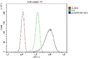 Flow Cytometry analysis of HeLa cells using anti-ANGPT2 antibody (ABIN7601450). (Angiopoietin 2 antibody  (AA 357-404))