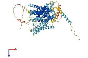 AlphaFold protein structure predicition of Mouse Recombinant Slc9a8 Protein, UniprotID Q8R4D1 (NHE8 Protein (AA 1-576) (His tag))