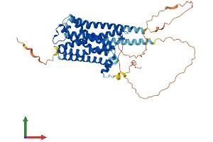 AlphaFold protein structure predicition of Mouse Recombinant Chrm1 Protein, UniprotID P12657 (CHRM1 Protein (AA 1-460) (His tag))