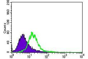 Flow cytometric analysis of HeLa cells using MAP1LC3A mouse mAb (green) and negative control (purple). (MAP1LC3A antibody  (AA 1-121))