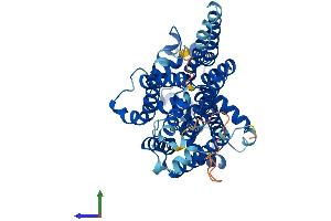 AlphaFold protein structure predicition of Mouse Recombinant Pigv Protein, UniprotID Q7TPN3 (PIGV Protein (AA 1-493) (His tag))